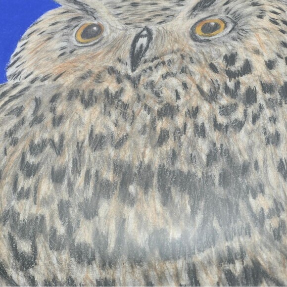 Hand Crafted Horned Owl Colored Pencil Drawing Framed 9x11" - Picture 3 of 12